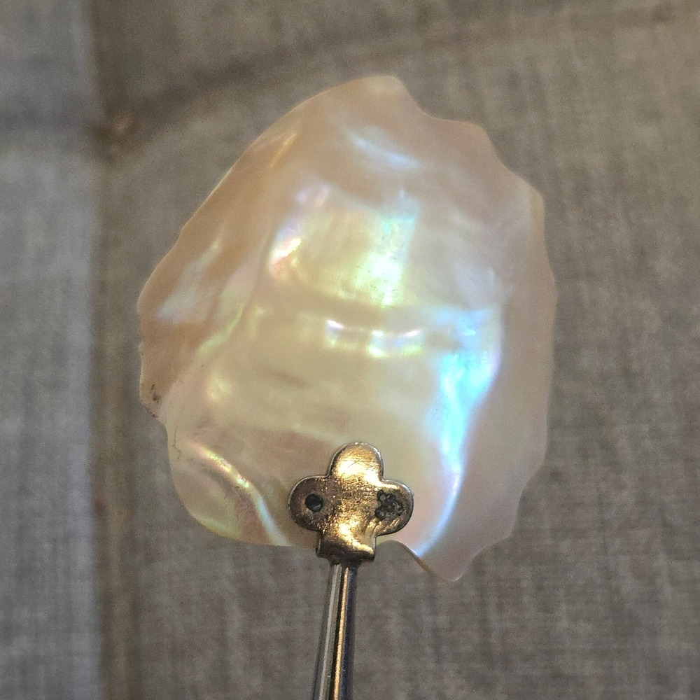 VTG Mother of Pearl Salt Spoon Jamestown RI Indian Chief 7" Victorian 1890s 19th - Picture 4 of 9